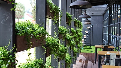 ESG Environment ESG